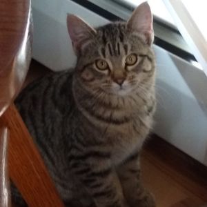 Meet your Posher, Kim